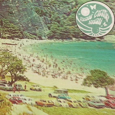 Neuland by Vintage Cucumber - album cover