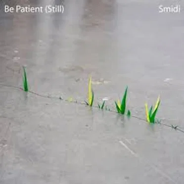 Be Patient (Still) - Single by Smidi - album cover