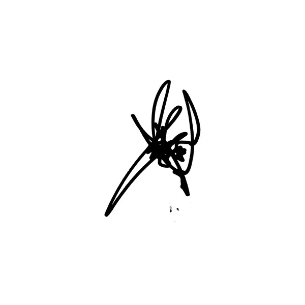 yocuharuca