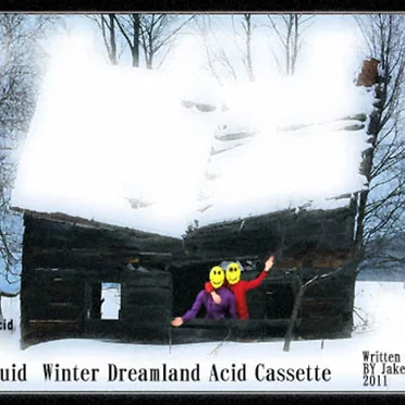 Winter Acid Dreamland Cassette