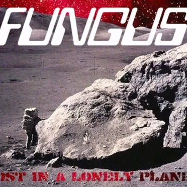Lost in a Lonely Planet