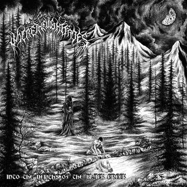 Torn Out by Where the Light Fades - album cover