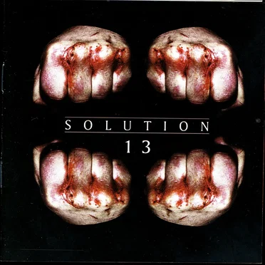 Solution 13