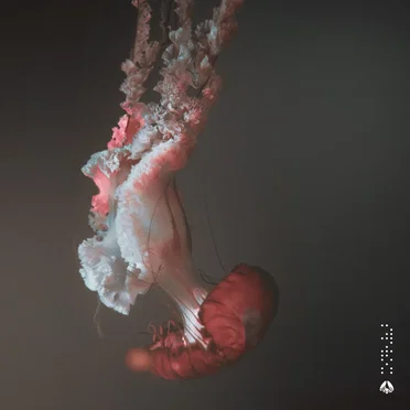 Organism