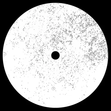 Remanence by Point Source - album cover