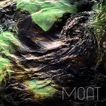 Poison Stream by Moat - album cover