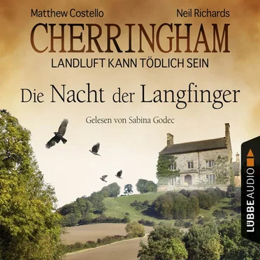 Die Nacht der Langfinger by Matthew Costello - album cover