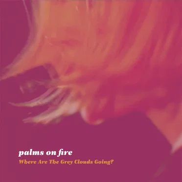 Where Are The Grey Clouds Going? by Palms On Fire - album cover
