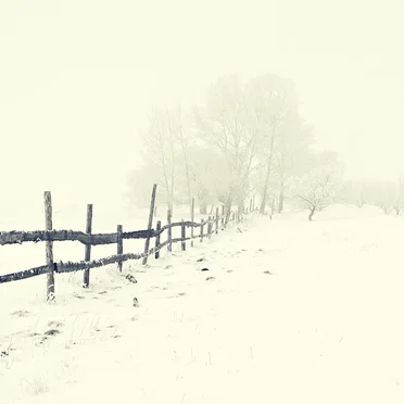 December by December - album cover