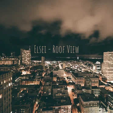 Roof View