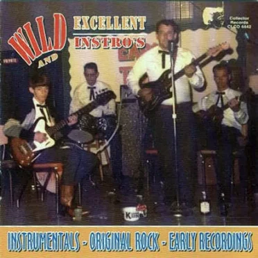 Wild & Excellent Instros by Various Artists - album cover