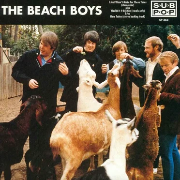 I Just Wasn't Made For These Times