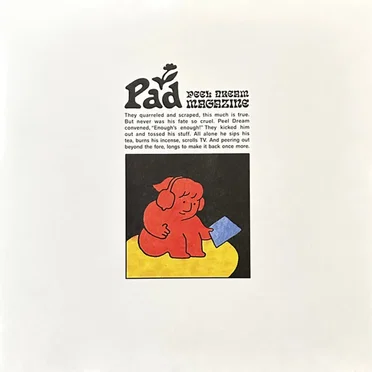 Pad by Peel Dream Magazine - album cover