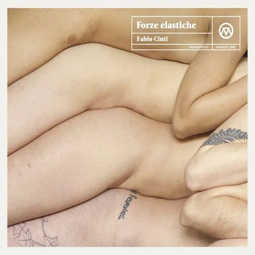 Forze elastiche by Fabio Cinti - album cover