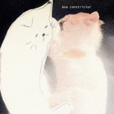 Boa Constrictor by djuno - album cover