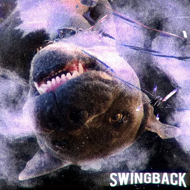 Time and Pressure by Swingback - album cover