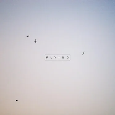 Flying
