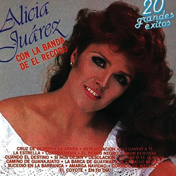 Voz y sentimiento: 20 grandes éxitos