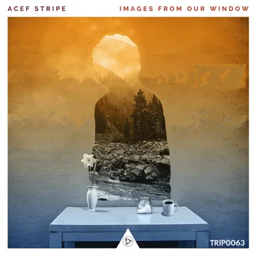 Images From Our Window by Acef Stripe - album cover