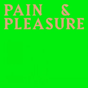 Pain & Pleasure by Bison Bisou - album cover