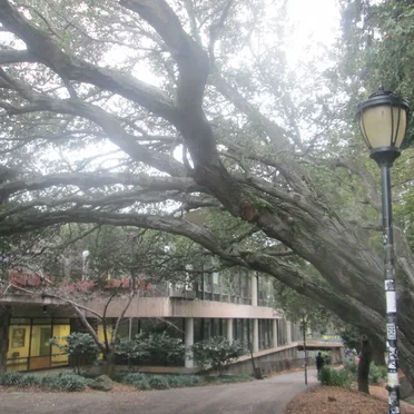 First Sunday of February