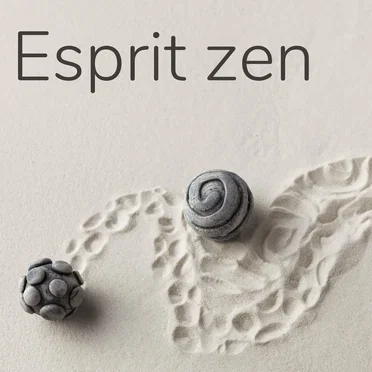 Esprit zen: Concentre ton esprit sur le moment présent by Various Artists - album cover