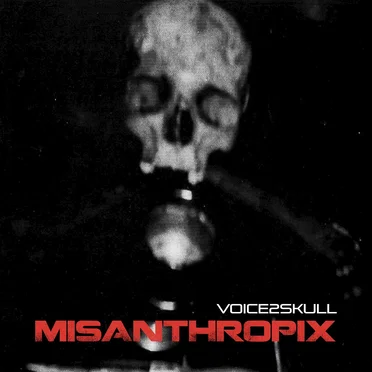 Voice2skull