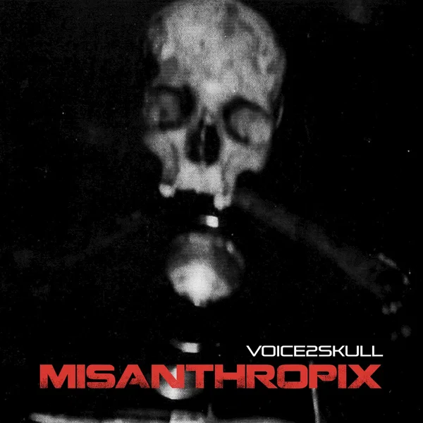 Voice2skull