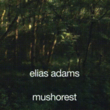 mushorest