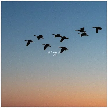 Wings
