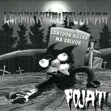 Pojat