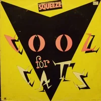 Squeeze artist image