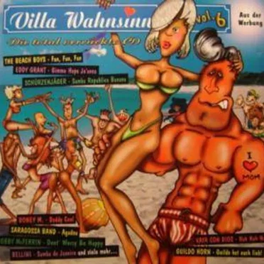 Villa Wahnsinn, Vol. 6: Die total verrückte CD by Various Artists - album cover