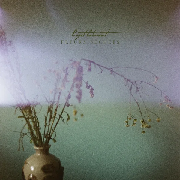 Fleurs séchées