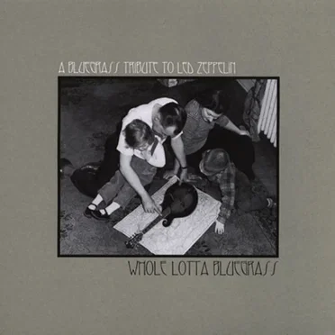 Whole Lotta Bluegrass by Iron Horse - album cover