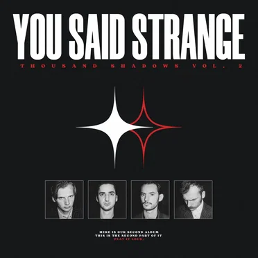 Thousand Shadows Vol.2 by You Said Strange - album cover