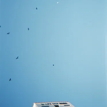 明け