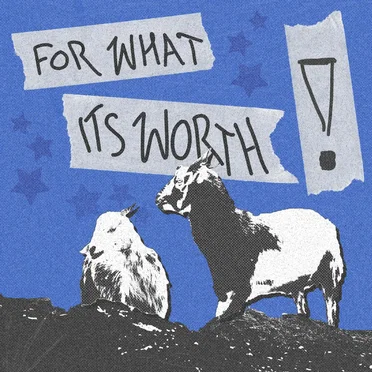 FOR WHAT ITS WORTH