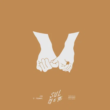 SUL IJ E TE by VTR - album cover