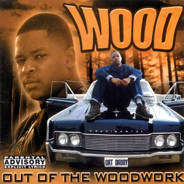 Out Of The Woodwork by Wood - album cover