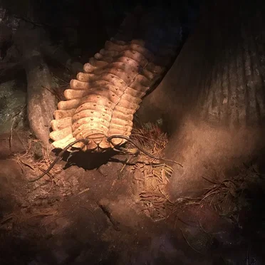 Paleobiota