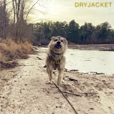 ILY ULY by Dryjacket - album cover