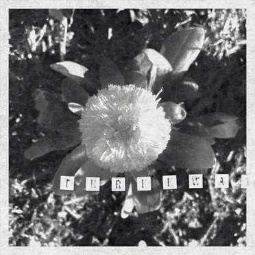 28/in Love, We Sing Songs by Threeway - album cover