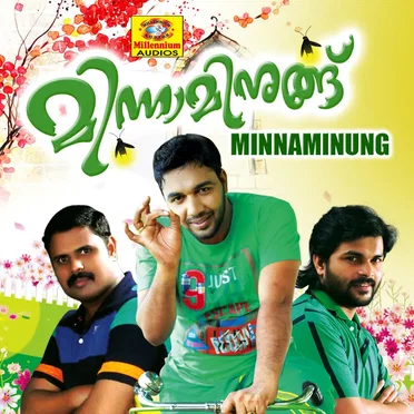 Minnaminung by Various Artists - album cover