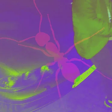 Dj Piekarz