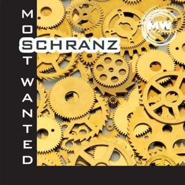 Most Wanted Schranz by Various Artists - album cover
