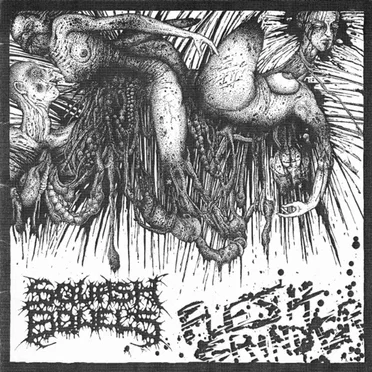 Flesh Grinder / Harsh Extreme