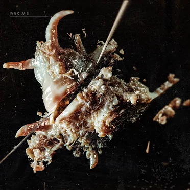 ISSXI.VIII | EP8 by Various Artists - album cover