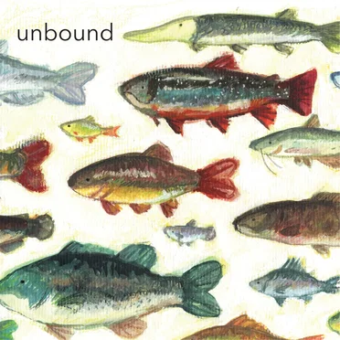 unbound by stego - album cover