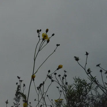 ＥＮＴＲＯＰＹ